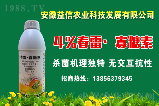 ���r(n��ng)���W(w��ng)ϲӭ���������y�������r(n��ng)�I(y��)����ؔ(c��i)��֮·��