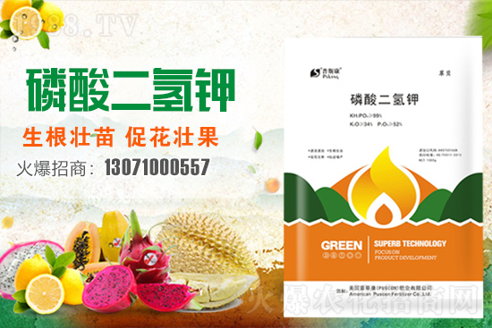 ��(zh��n)�Ժ���������(j��)����˹���ʘI(y��)�y��1988.TV�ل�(chu��ng)�x�ͣ�