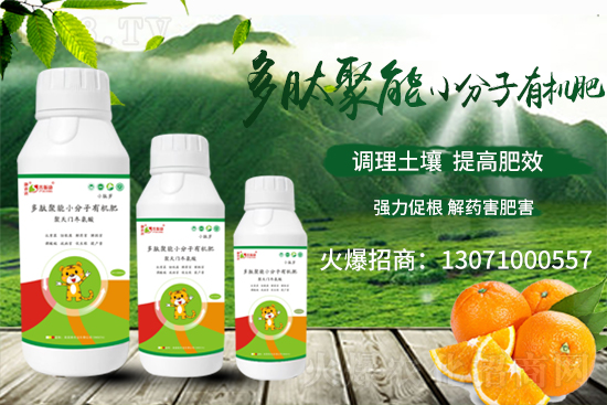 ��(zh��n)�Ժ���������(j��)����˹���ʘI(y��)�y��1988.TV�ل�(chu��ng)�x����