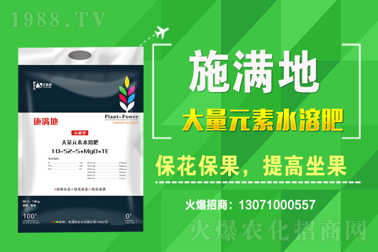 ��(zh��n)�Ժ���������(j��)����˹���ʘI(y��)�y��1988.TV�ل�(chu��ng)�x����