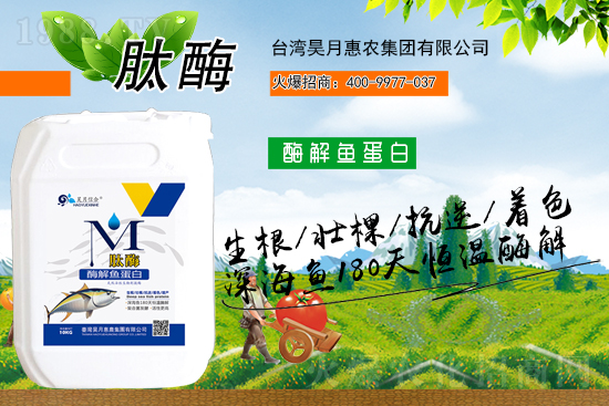 �y�ֹ��M(j��n)���T�����x������»��r(n��ng)���s�r(n��ng)���W(w��ng)���A2021��