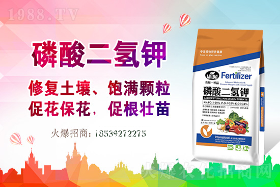 �����P(gu��n)ϵ�����A���m���r(n��ng)�I(y��)�c1988.TV�_(k��i)����ƪ����