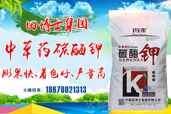 �����P(gu��n)ϵ�����A���ﲩʿ���F(tu��n)�m(x��)�s1988.TV�����\�����°l(f��)չ��