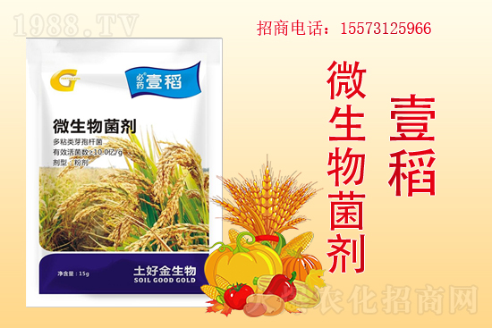 �����P(gu��n)ϵ�����A�����ý������ٺ�1988.TV������(chu��ng)���x�ͣ�