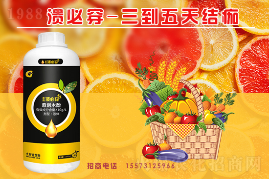 �����P(gu��n)ϵ�����A�����ý������ٺ�1988.TV������(chu��ng)���x�ͣ�