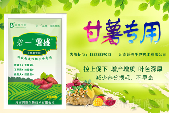 ���r(n��ng)���W(w��ng)ϲӭ�����ѣ��y�ֱ̄����ﹲ��ؔ(c��i)��֮·��