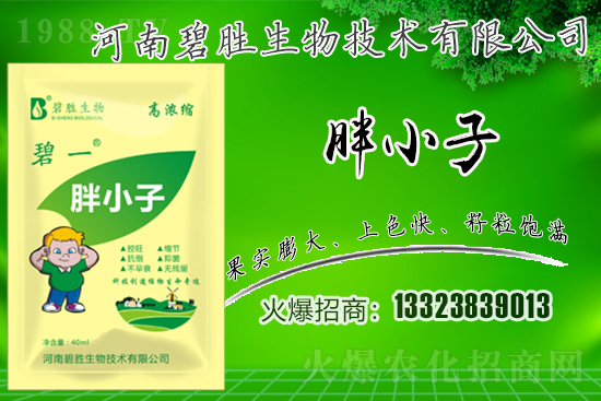 ���r(n��ng)���W(w��ng)ϲӭ���������y�ֱ̄����ﹲ��ؔ(c��i)��֮·��