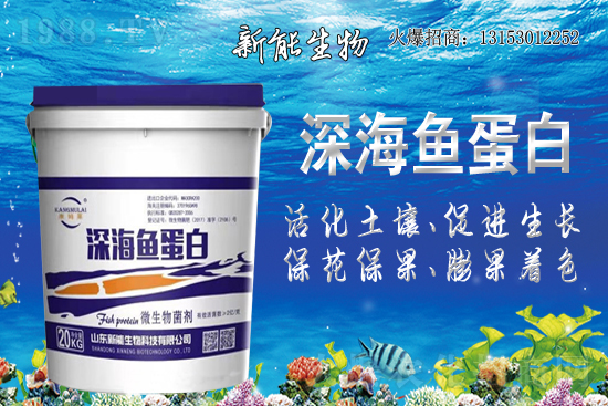 ����ף�R���������ٺ�1988.TV���_���W(w��ng)�j(lu��)������ģʽ��