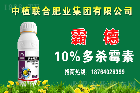 �����r��