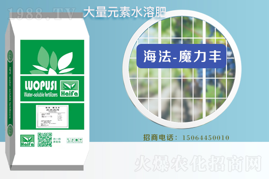 �r(n��ng)���W(w��ng)ϲӭ���������y���Z��˹����ؔ(c��i)��֮·��