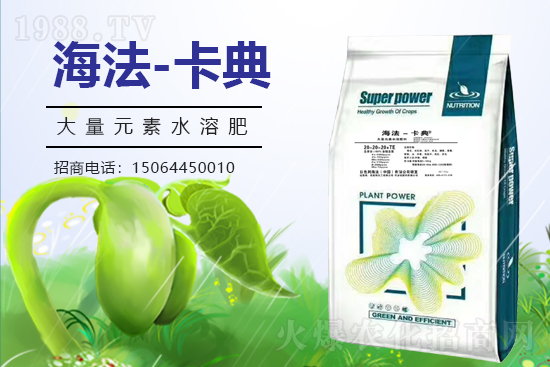 �r(n��ng)���W(w��ng)ϲӭ�����ѣ��y���Z��˹����ؔ(c��i)��֮·��