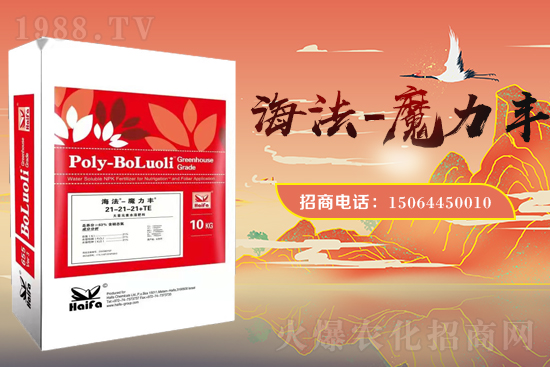 �r(n��ng)���W(w��ng)ϲӭ�����ѣ��y���Z��˹����ؔ(c��i)��֮·��