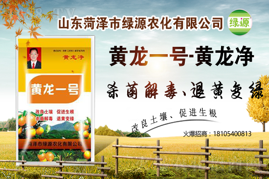 �n�S�������r���߄�2021.5.31