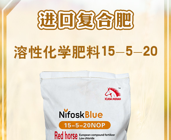 �M(j��n)�ڏ�(f��)�Ϸ�-�����Ի��W(xu��)����15-5-20NOP-KUDAMERAH��(k��)�_(d��)÷��_01