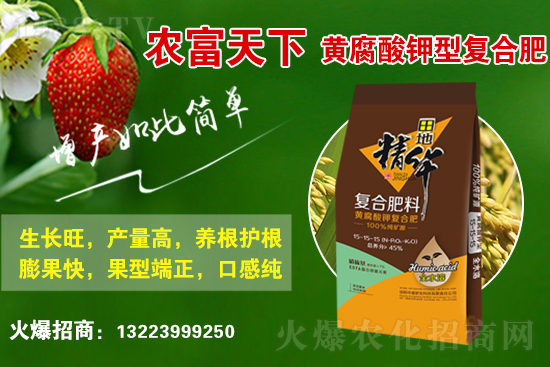 復合肥市場行情分析，2021年6月10日化肥行情走勢：