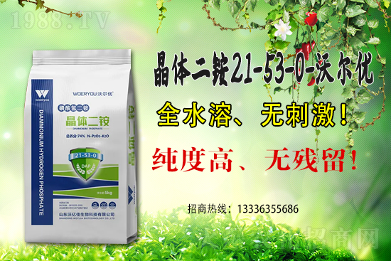 ���@�߃r(ji��)�����ڇ�(gu��)��(n��i)���@�r(ji��)��������?q��ng)?b��o)��6��15��