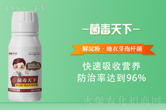 2021年6月17日國(guó)內(nèi)花生價(jià)格行情