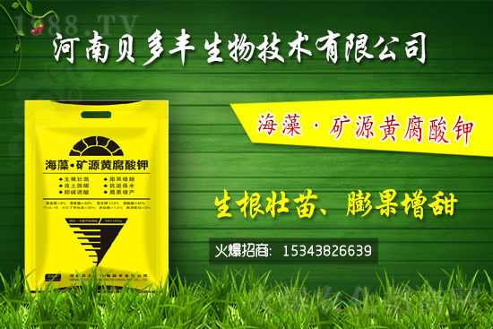 果樹黃化的原因是缺鐵嗎？果樹黃化噴施硫酸亞鐵怎么樣？