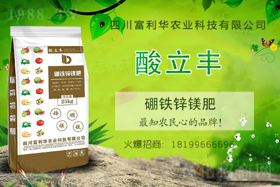 ���ʃr���ϝq��2021��6��18�ջ��ʃr���Ո�