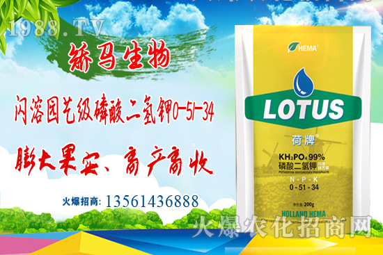 ⛷ʃr���ͦ������⛷ʃr�������߄ݣ�6��22�գ�