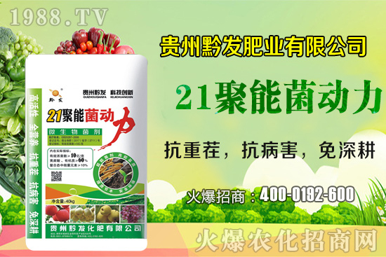 ǭ�l(f��)�ʘI(y��)�ٶȔy��1988.TV���y�ִ����������E��