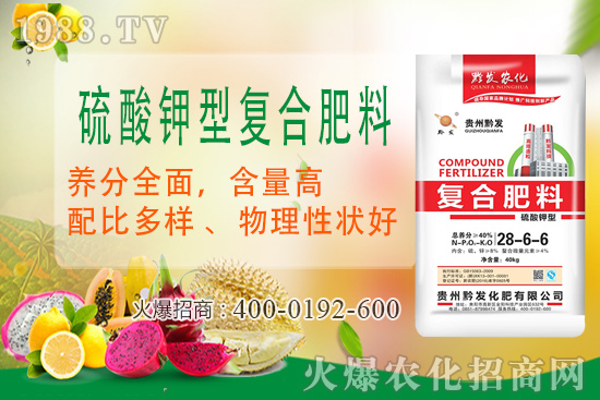 ǭ�l(f��)�ʘI(y��)�ٶȔy��1988.TV���y�ִ����������E��