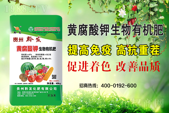 ǭ�l(f��)�ʘI(y��)�ٶȔy��1988.TV���y�ִ����������E��