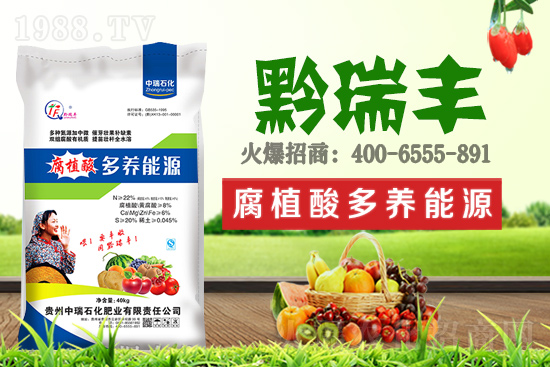     ����ʯ���ʘI(y��)�𱬁��u���ٺ����r(n��ng)�����̾W(w��ng)���_��(chu��ng)���x�ͣ�