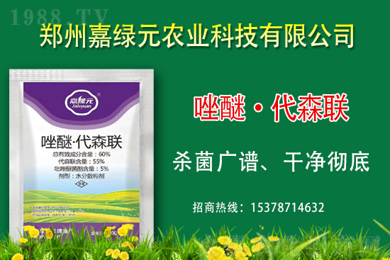 �������������ξGԪ�r(n��ng)�I(y��)�ٺ�1988.TV������(chu��ng)���x����