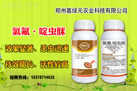 �������������ξGԪ�r(n��ng)�I(y��)�ٺ�1988.TV������(chu��ng)���x����