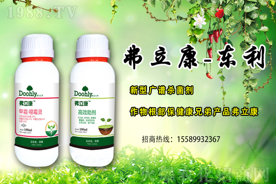 ���|���m(x��)�s1988.TV����(zh��n)�Ժ����Pϵ�������_�A��