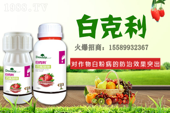 ���|���m(x��)�s1988.TV����(zh��n)�Ժ����Pϵ�������_�A��