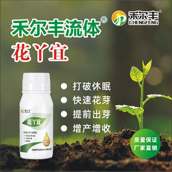 花丫宜1