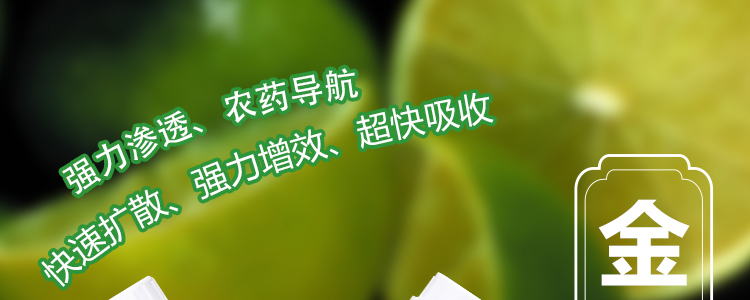 �w������_01