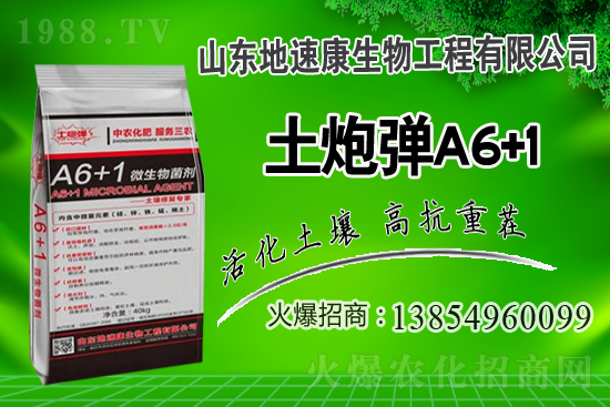    �����P(gu��n)ϵ�����A��ɽ�|���ٿ��c1988.TV�_����ƪ�£�