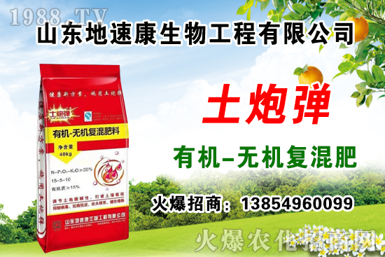    �����P(gu��n)ϵ�����A��ɽ�|���ٿ��c1988.TV�_����ƪ����