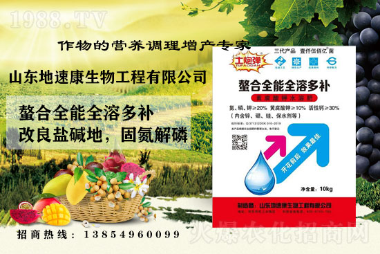    �����P(gu��n)ϵ�����A��ɽ�|���ٿ��c1988.TV�_����ƪ����