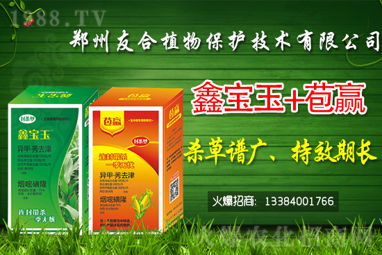 2021��7��13�ռ��������x���r(ji��)���߄�(sh��)