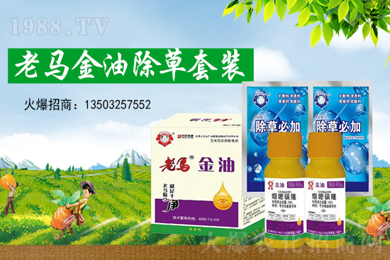 �ݸ�좃r(ji��)��(chu��ng)�¸���2021��7��15�ղݸ�좃r(ji��)���߄�(sh��)