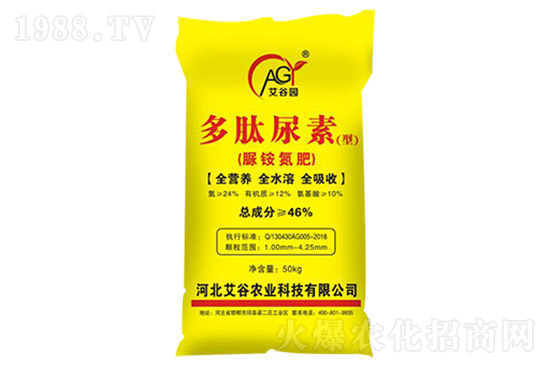 ���؃r���B�m(x��)�ϝq�����؅^(q��)���؃r���Ո�7��17�գ�