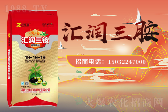 �r(n��ng)���W(w��ng)ϲӭ���������Ј�R�����s1988.TV�y�ִ����������E��