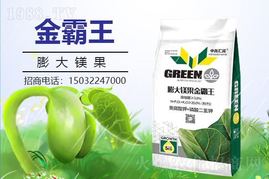 �r(n��ng)���W(w��ng)ϲӭ�����ѣ��Ј�R�����s1988.TV�y�ִ����������E��