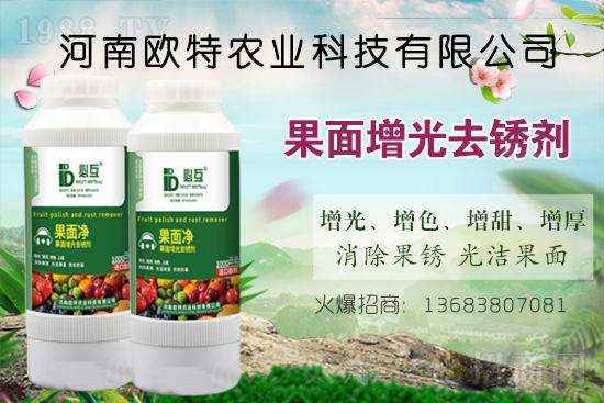  �W���r(n��ng)�I(y��)�m(x��)�s1988.TV���y�ֹ���(chu��ng)���x����