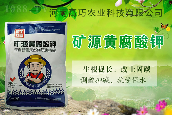  ϲ��1988.TVϲӭ�������������r(n��ng)�I(y��)���݁��u��