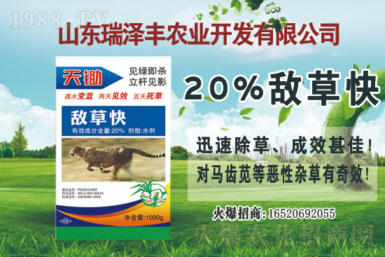 2021��8��1�մ󶹳��݄��r(ji��)��