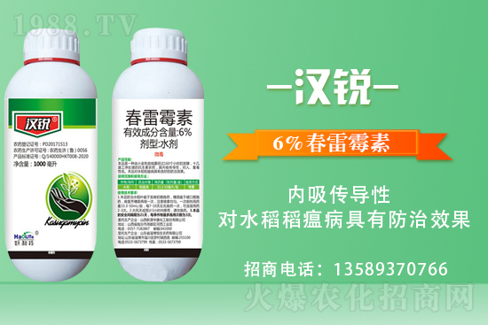     �������\�°l(f��)չ�����u�������ٴκ��s1988.TV��