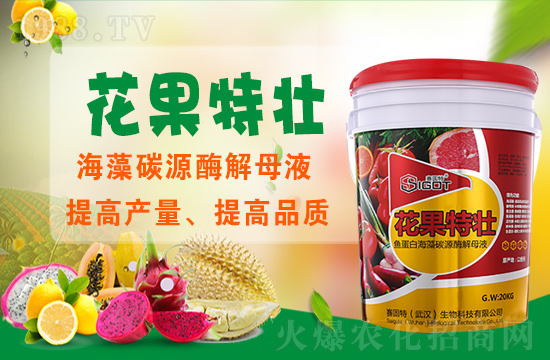 ��ɫ��ِ�����ٶȔy��1988.TV���y�ֹ���(chu��ng)��(zh��n)�����ل�(chu��ng)�x����