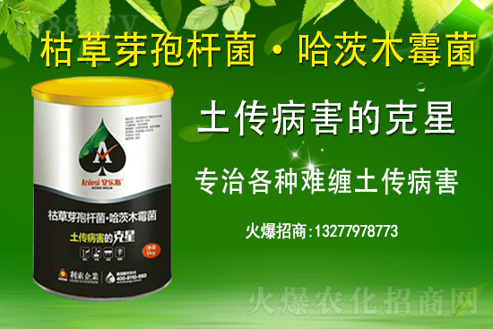 ��ռ�̙C(j��)���������A�����������y���r(n��ng)���W(w��ng)�ل�(chu��ng)���x�ͣ�