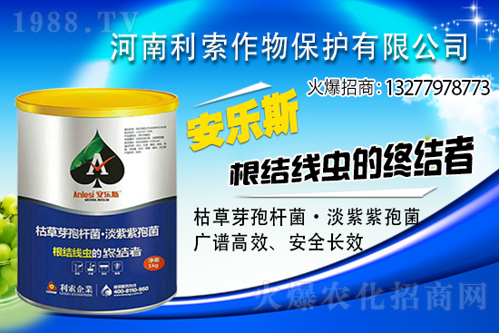 ��ռ�̙C(j��)���������A�����������y���r(n��ng)���W(w��ng)�ل�(chu��ng)���x����