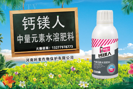 ��ռ�̙C(j��)���������A�����������y���r(n��ng)���W(w��ng)�ل�(chu��ng)���x�ͣ�